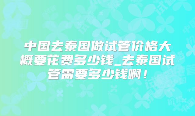 中国去泰国做试管价格大概要花费多少钱_去泰国试管需要多少钱啊!