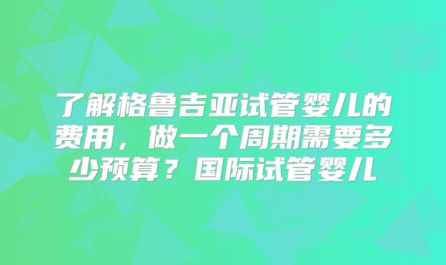 了解格鲁吉亚试管婴儿的费用，做一个周期需要多少预算？国际试管婴儿