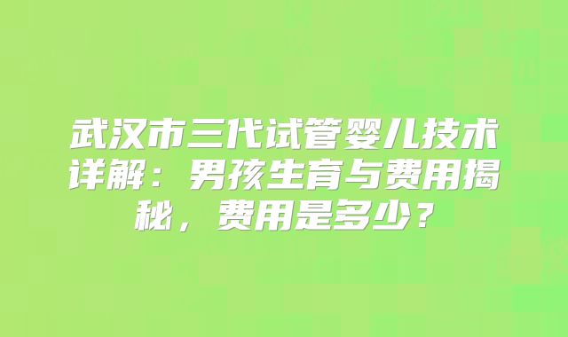 武汉市三代试管婴儿技术详解：男孩生育与费用揭秘，费用是多少？