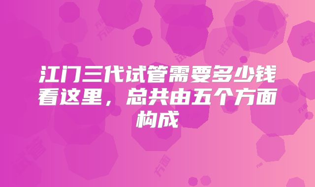 江门三代试管需要多少钱看这里，总共由五个方面构成