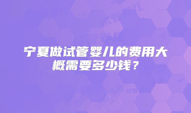 宁夏做试管婴儿的费用大概需要多少钱？