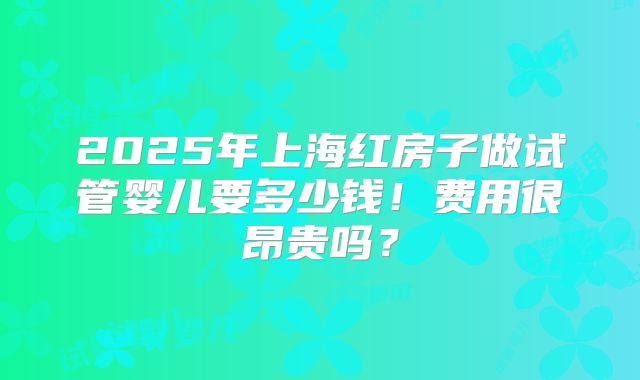 2025年上海红房子做试管婴儿要多少钱！费用很昂贵吗？