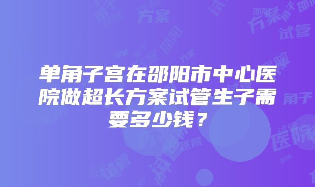 单角子宫在邵阳市中心医院做超长方案试管生子需要多少钱？