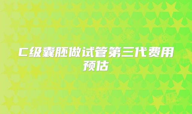 C级囊胚做试管第三代费用预估