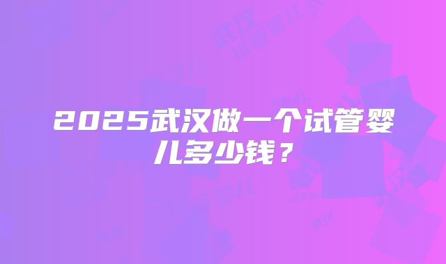 2025武汉做一个试管婴儿多少钱？