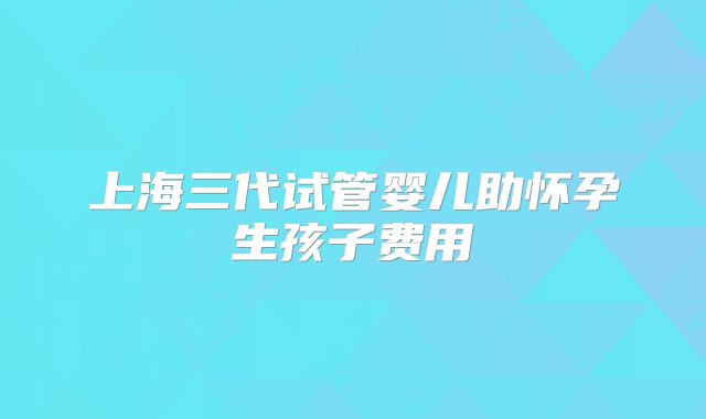 上海三代试管婴儿助怀孕生孩子费用