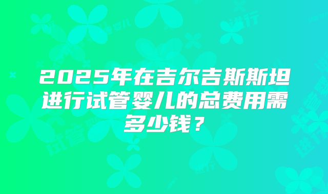 2025年在吉尔吉斯斯坦进行试管婴儿的总费用需多少钱？