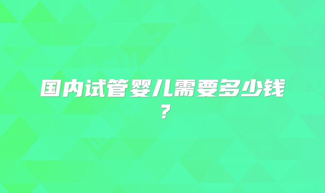 国内试管婴儿需要多少钱?