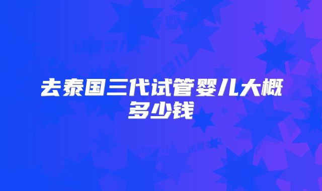 去泰国三代试管婴儿大概多少钱