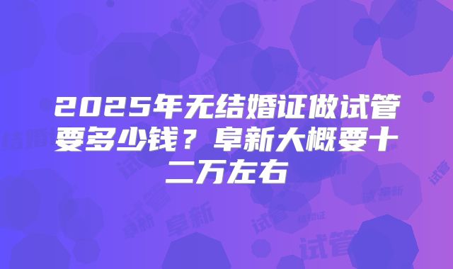 2025年无结婚证做试管要多少钱？阜新大概要十二万左右