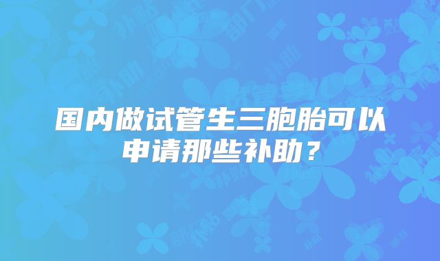国内做试管生三胞胎可以申请那些补助？