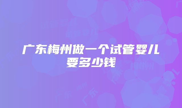广东梅州做一个试管婴儿要多少钱