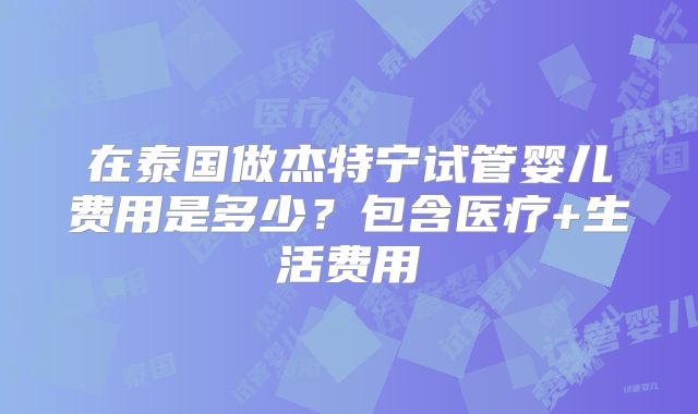 在泰国做杰特宁试管婴儿费用是多少？包含医疗+生活费用