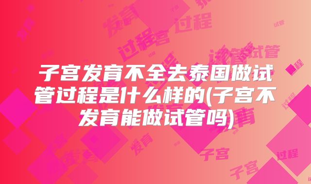 子宫发育不全去泰国做试管过程是什么样的(子宫不发育能做试管吗)