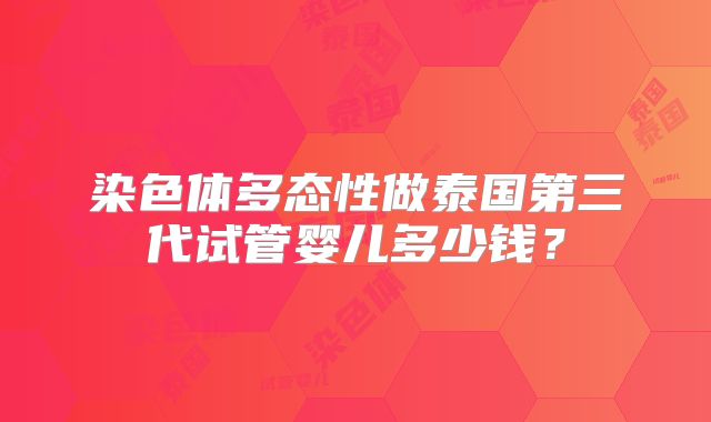 染色体多态性做泰国第三代试管婴儿多少钱？