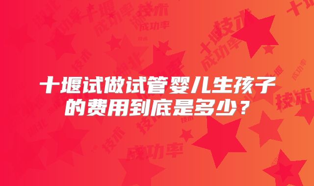 十堰试做试管婴儿生孩子的费用到底是多少？