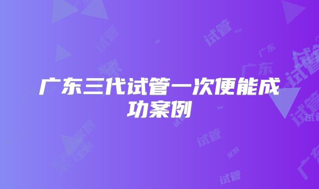 广东三代试管一次便能成功案例