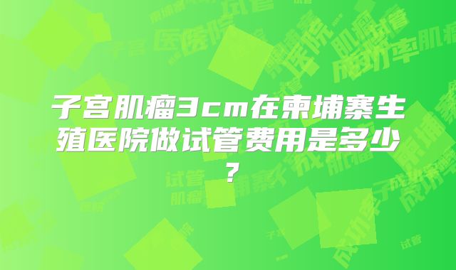 子宫肌瘤3cm在柬埔寨生殖医院做试管费用是多少？