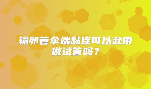 输卵管伞端黏连可以赴柬做试管吗？