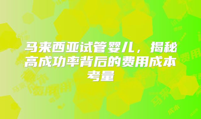 马来西亚试管婴儿，揭秘高成功率背后的费用成本考量