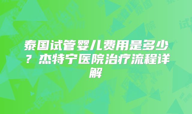 泰国试管婴儿费用是多少?杰特宁医院治疗流程详解