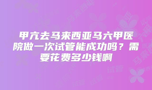 甲亢去马来西亚马六甲医院做一次试管能成功吗？需要花费多少钱啊
