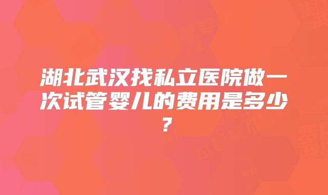 湖北武汉找私立医院做一次试管婴儿的费用是多少？
