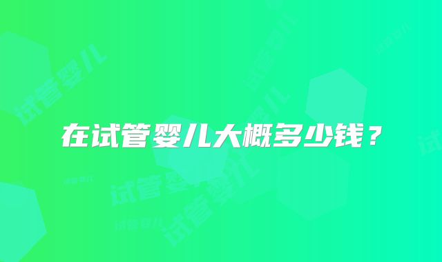 在试管婴儿大概多少钱？
