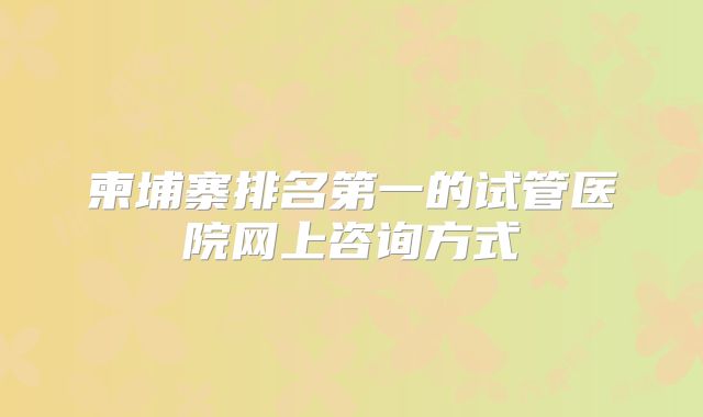 柬埔寨排名第一的试管医院网上咨询方式