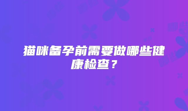 猫咪备孕前需要做哪些健康检查？