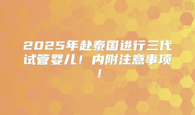 2025年赴泰国进行三代试管婴儿!内附注意事项!
