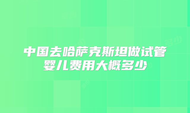 中国去哈萨克斯坦做试管婴儿费用大概多少