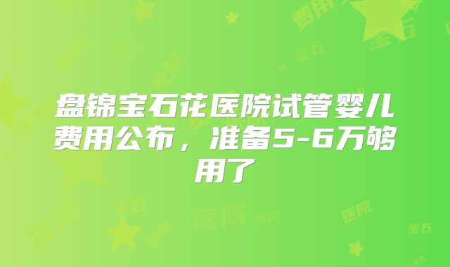 盘锦宝石花医院试管婴儿费用公布，准备5-6万够用了