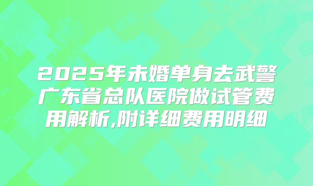 2025年未婚单身去武警广东省总队医院做试管费用解析,附详细费用明细