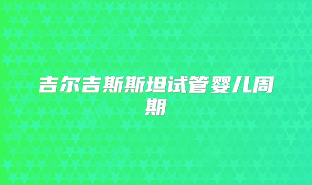 吉尔吉斯斯坦试管婴儿周期