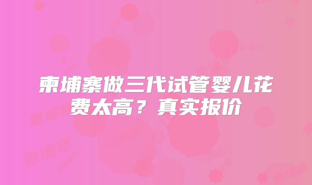 柬埔寨做三代试管婴儿花费太高?真实报价