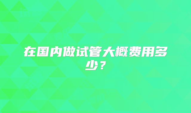 在国内做试管大概费用多少？