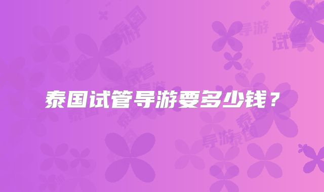 泰国试管导游要多少钱？