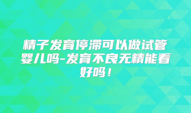 精子发育停滞可以做试管婴儿吗-发育不良无精能看好吗!