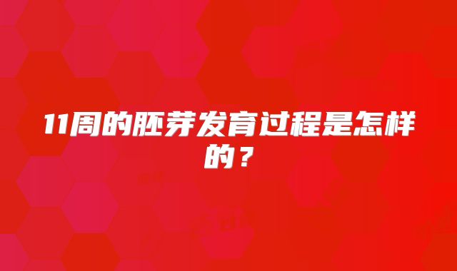 11周的胚芽发育过程是怎样的?