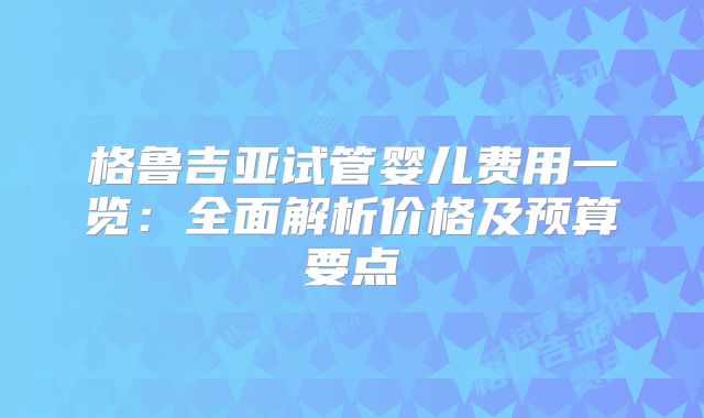 格鲁吉亚试管婴儿费用一览：全面解析价格及预算要点