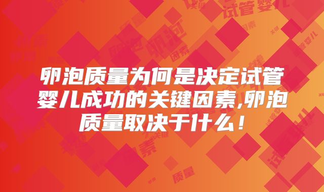 卵泡质量为何是决定试管婴儿成功的关键因素,卵泡质量取决于什么！