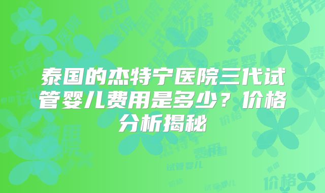泰国的杰特宁医院三代试管婴儿费用是多少？价格分析揭秘