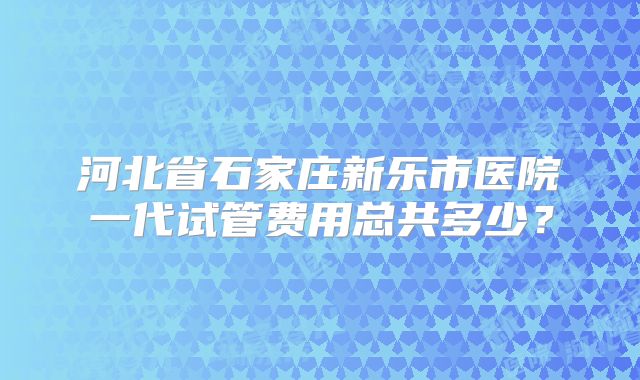 河北省石家庄新乐市医院一代试管费用总共多少？