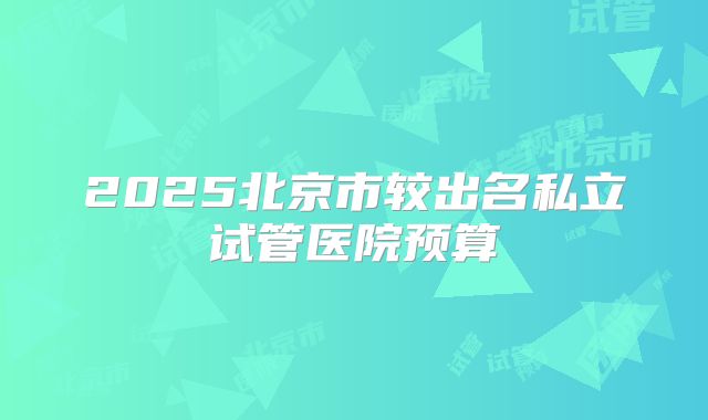 2025北京市较出名私立试管医院预算