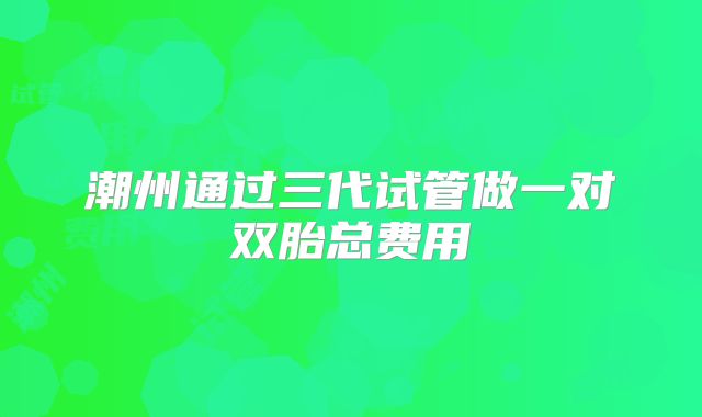 潮州通过三代试管做一对双胎总费用
