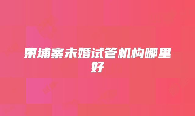 柬埔寨未婚试管机构哪里好