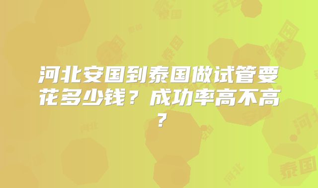 河北安国到泰国做试管要花多少钱？成功率高不高？