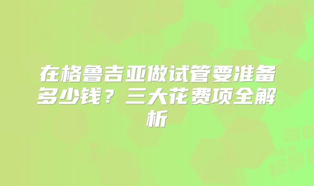 在格鲁吉亚做试管要准备多少钱？三大花费项全解析