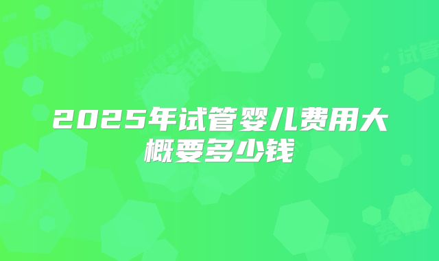 2025年试管婴儿费用大概要多少钱